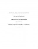 CASO PRÁCTICO KELLOGGS