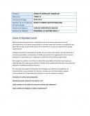 ENSAYO SOBRE SUSTENTABILIDAD