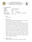 INFORME DE PRÁCTICA DE LABORATORIO. “Método científico”