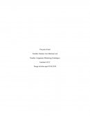 Final marketing estrategico