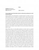 Ensayo de Grandes esperanzas