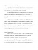 Argumentación actividad central seudocódigo