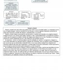 CIRCUITO PRODUCTIVO DE LA LANA