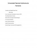 Belleza Natural De Honduras