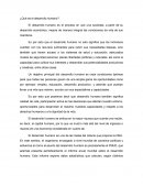 ¿Qué es el desarrollo humano?