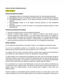 AUSCULTACIÓN CARDIOVASCULAR