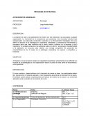 PROGRAMA DE ESTRATEGIA