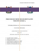 LABORATORIO DE PROCESOS COGNITIVOS