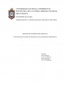 Cómo funcionan los sistemas de información en los procedimientos administrativos