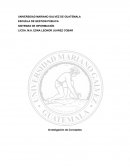 SISTEMAS- INVESTIGACION DE CONCEPTOS