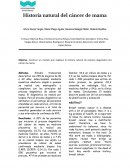 Historia natural del cáncer de mama