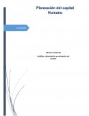 Planeacion de capital humano resumen