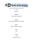 MUNDO AZUL. El AGUA EN LA BIOSFERA
