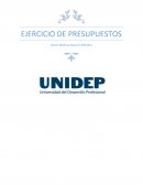 CONTABILIDAD ADMINISTRATIVA. EJERCICIO DE PRESUPUESTOS