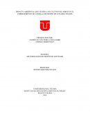 IMPACTO AMBIENTAL QUE GENERA LOS CULTIVOS DE ARROZ EN EL CORREGIMIENTO DE CASTILLA MUNICIPIO DE COYAIMA TOLIMA