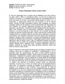 Vijayanagar relación campo-ciudad