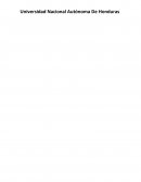 Ventajas y desventajas de la Sociedad Anónima (SA) y la Sociedad de Responsabilidad Limitada (SRL)