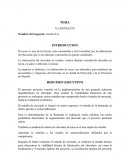 PROYECTO Cacaíto S.A.