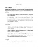 CASO NAVIDUL • Plan de marketing