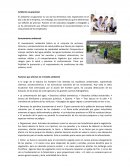Factores que afectan en el medio ambiente
