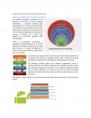 Arquitectura Sistemas Distribuidos. Capas (arquitectura) del sistema operativo