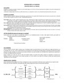 Filosofia basico de lo basico