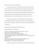 Elección de medio a utilizar y parrilla programática