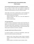 Ensayo Arca Continental