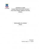 TEORÍA GENERAL DEL PROCESO (Ensayo)