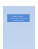 Organigrama Funcional Venta