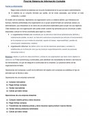 Final de Sistema de Información Contable
