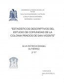 Estadisiticos descriptivos