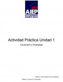 Actividad Práctica Unidad 1 Curriculum y Diversidad