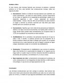 Analasis de las consecuencias que trae la pobreza en el perú