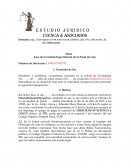 Modelo impugnación foto multa