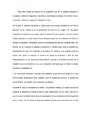 Libro Caballero de la armadura oxidad