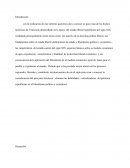 ESTADO LIBERAL REPUBLICANO DEL SIGLO IXI EN VENEZUELA