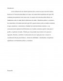 ESTADO LIBERAL REPUBLICANO DEL SIGLO IXI EN VENEZUELA