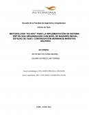 "AD-HOC" PARA LA IMPLEMENTACIÓN UN SISTEMA ERP EN UNA ORGANIZACIÓN CON NIVEL DE MADUREZ INICIAL,