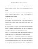 Cuando un ser humano empieza a ser persona