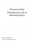 Proyecto final, fundamentos de la administración