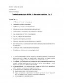Practico trabajo Prehistoria