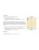 Factor tecnológico: Marketing Digital