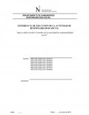 EXPERIENCIA DE EJECUCIÓN DE LA ACTIVIDAD DE RESPONSABILIDAD SOCIAL