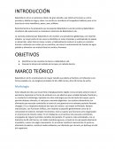 Páctica Parasitologia