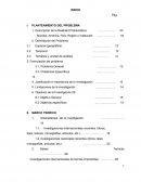 Las Políticas de la Organización Mundial de la Salud y Organización Panamericana de la Salud