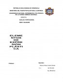 Elementos de expresión plástica