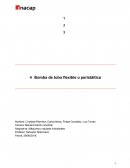 Bomba de tubo flexible o peristáltica