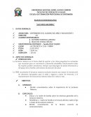 PLAN DE ACCION EDUCATIVA “LACTANCIA MATERNA”