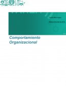 Control deComportamiento organizacional